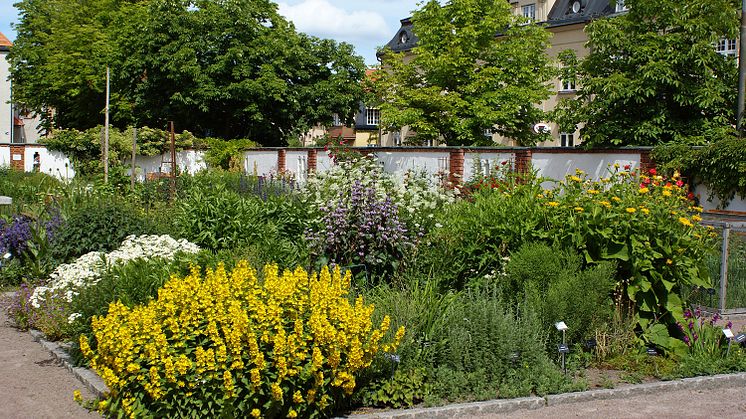 Renoveringen av Botaniska trädgården skjuts framåt