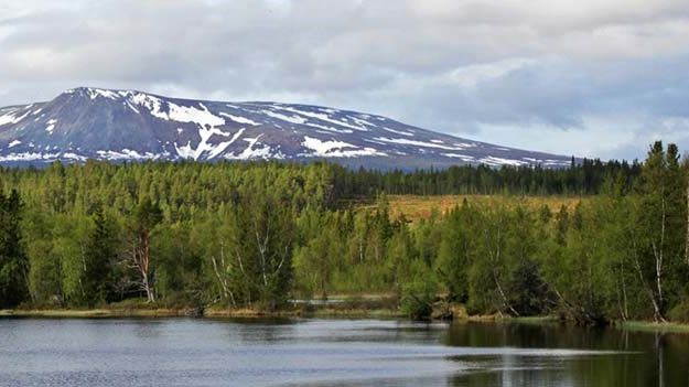 Sonfjällets nationalpark.