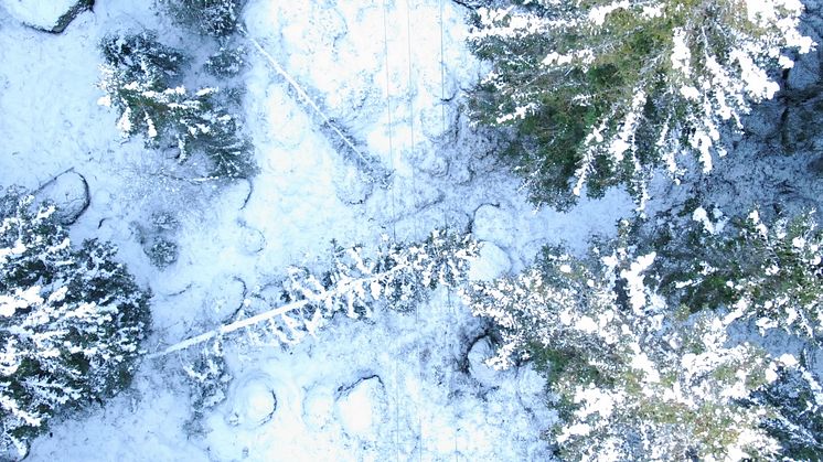 Arkivbild från tidigare snöfall. Foto: Linde energi