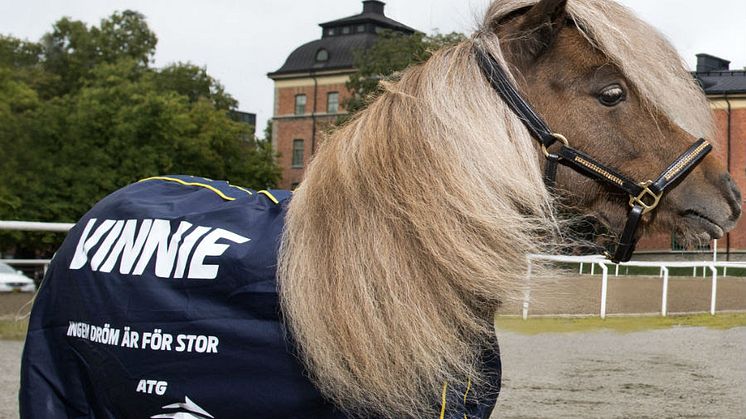 Mediefenomenet Vinnie, den lilla ponnyn i ATG-reklamen, kommer till EuroHorse