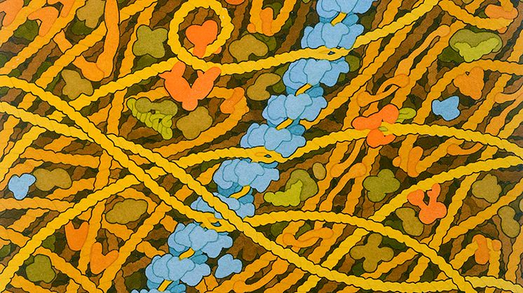 Illustration av RecA-filamentet av David Goodsell.