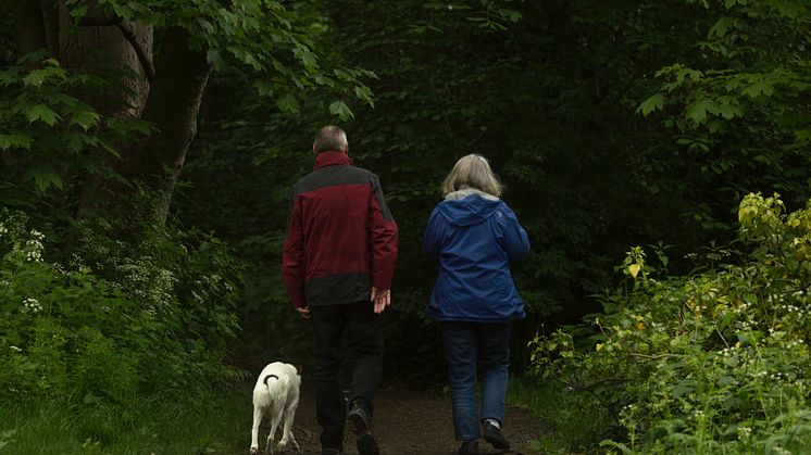 Familjens Jurist inleder samarbete med Nowo