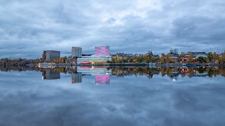 Foto: Fredrik Larsson.