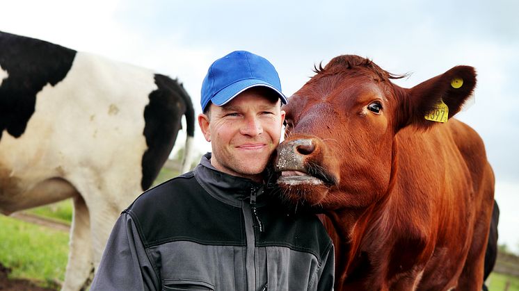Skånemejerier är det största mejeriet i Sverige som har tredjepartscertifierade gårdar