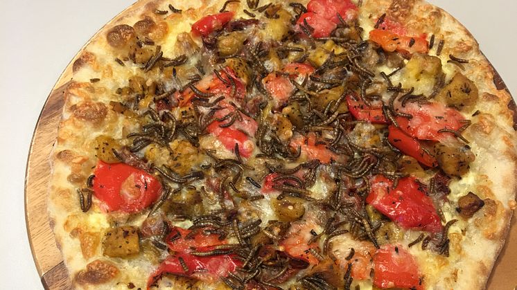 Pizza med melormer er servert! Insekttoppingen er sprø og proteinrik for den som tør, og kan også bli del av fremtidens studentmat.