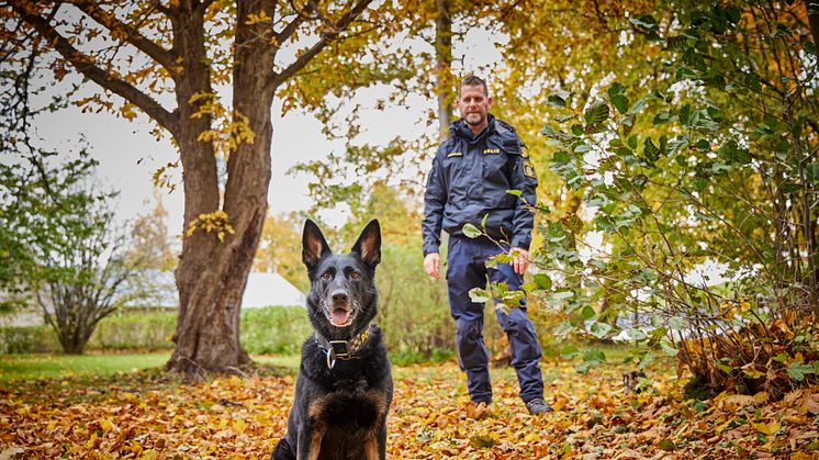 Årets Polishund 2023 Krogstorps Sky med förare Magnus Stenlilja. Foto: Jan-Erik Lindkvist