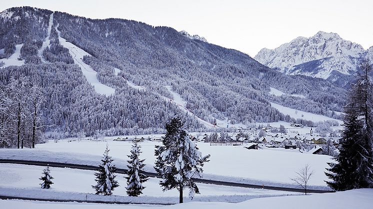 Sex svenska åkare kommer inte till start i Kranjska Gora efter att ha testat positivt för covid-19. Foto: Wolfgang Grebien, Gepa Pictures/Bildbyrån