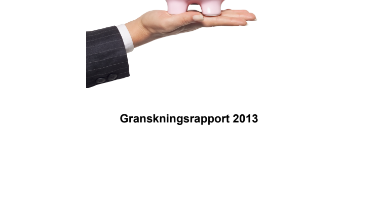 FundWatch rapport 2013
