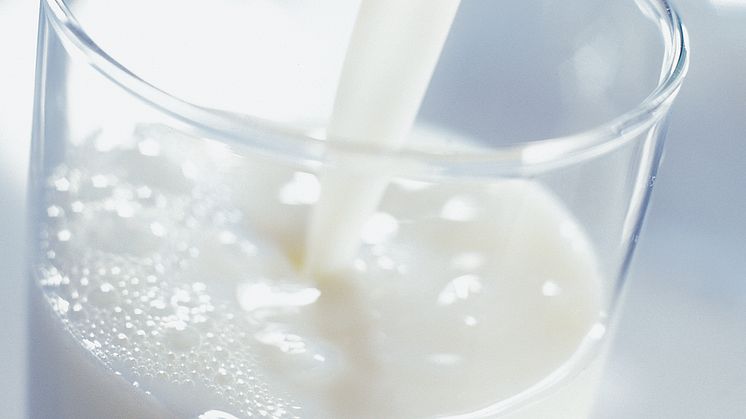 Am 1. Juni ist Weltmilchtag: Milch ist mehr als ein Grundnahrungsmittel