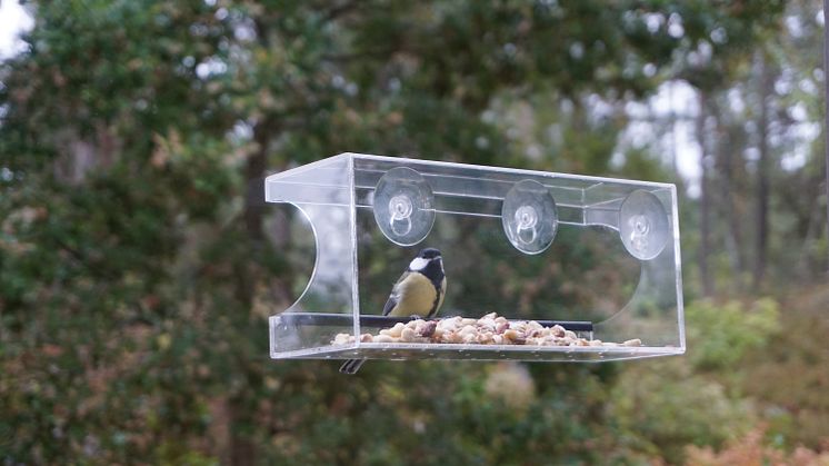Fuglemateren er helt transparent, og du får utmerket utsikt til fuglene som sitter og spiser.