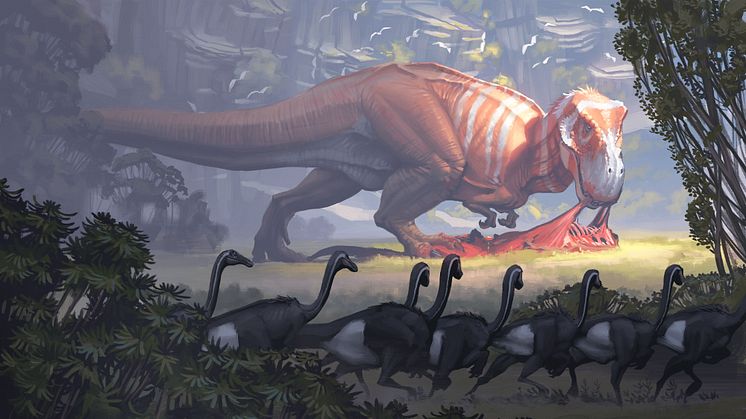 Fossil och evolution -  T-rex