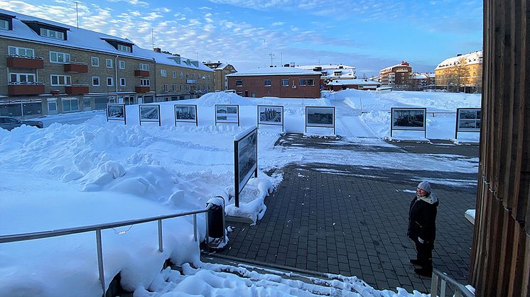 Vinterdäcket erbjuder isbana, pulkbacke och konst.  Foto: Stina Eriksson