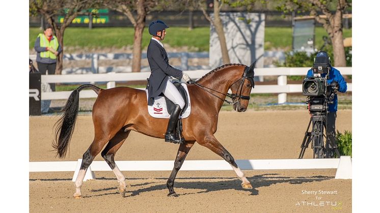 Will Coleman will be going to Paris with the US Olympic Eventing Team. (Photo by Sherry Stewart)