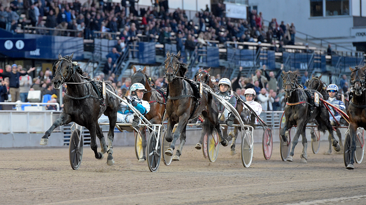 Xanthis Harvey (Örjan Kihlström) segrade i Svenskt Trav-Kriterium före stallkamraterna Bengan och Ante la Roque. Alla är tränade av Daniel Redén. Foto: TR Bild