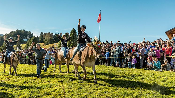 Kuhrennen auf dem Flumserberg, Ostschweiz (c) Schweiz Tourismus, Jan Geerk