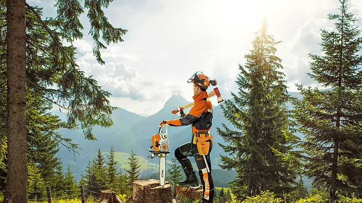 Designpris til Stihl