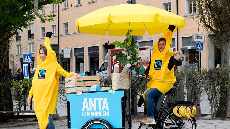 Hjo kommun kom på en fjärdeplats i årets Fairtrade Challenge följt av Sorsele och Västerås. Foto: Fairtrade Sverige. 