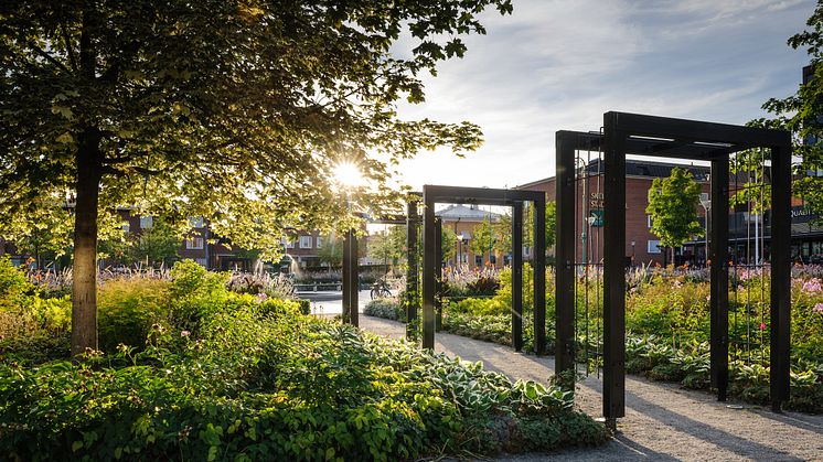 Vy från stadshuset i Skellefteå in mot stadsparken, och i bakgrunden anar man den anrika fontänen Johanna i parken.