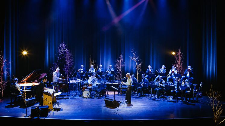 Poems for Orchestra - där storband möter nordisk och japansk musiktradition. Foto: Donovan Martens