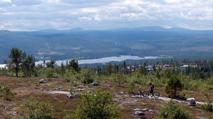 Stigcykling i Lofsdalen