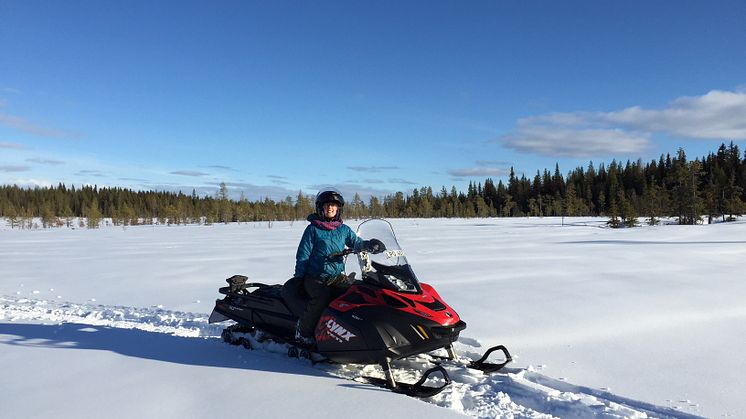 Gold of Lapland åker till Köln för att locka holländska och tyska resenärer 