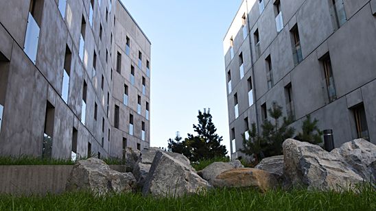 Kvarteret Forskningens grå betonghus fångar upp stenarna i miljön runtomkring och blir en förlängning av berget som de står på. Foto: Anders Siljevall