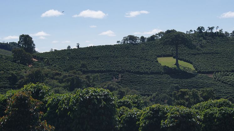 Dry, but hopeful in Brazil