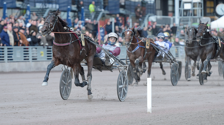 Hohneck visade sig bäst i Europa när han tog hem UET Elite Circuit Finale.  Foto: TR Bild.