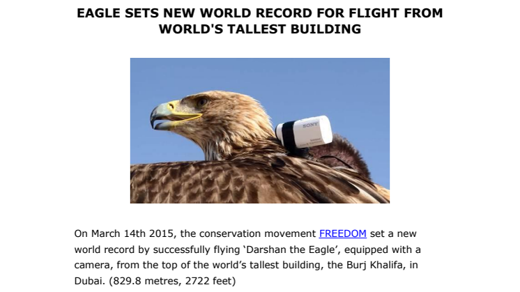 Eagle sets new world record for flight from world's tallest building