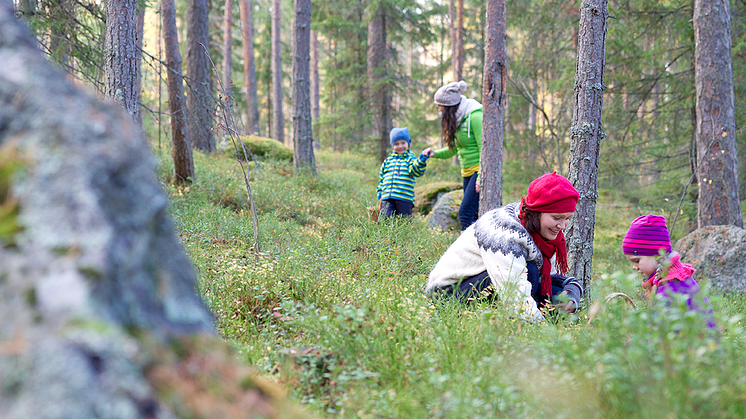 Kuva Sydänmerkki.