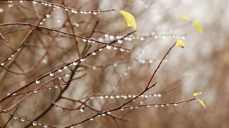 ​Den hydrologiske balansen, som er summen av vann i magasiner, snø i fjellet og markvann, viser at det er mer tilgjengelige ressurser nå enn hva som er normalt for årstiden.