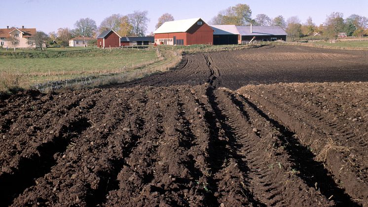 Genrebild åkermark. Foto: Jordbruksverket