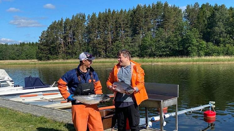 Köksmästare Leif Klövstedt och fiskaren Fredrik Åström går igenom dagens fångst.