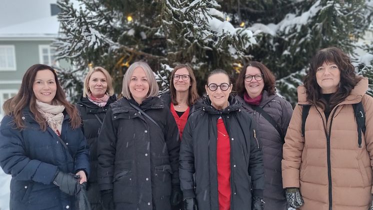 Från vänster: Sandra Åström Wibax, Linda Larsson Pite Energi, Johanna Vincent Sparbanken Nord, Åsa Rundgren Smurfit Kappa Piteå, Lena Fernberg ShoreLink, Cathrine Granberg Piteå kommun, Marie Lindgren Berglund Piteå Science Park