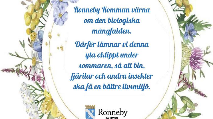 Under sommaren 2020 ställer Ronneby kommunen om skötsel av vissa gräsmattor till oklippta ytor. Detta ska gynna den biologiska mångfalden.
