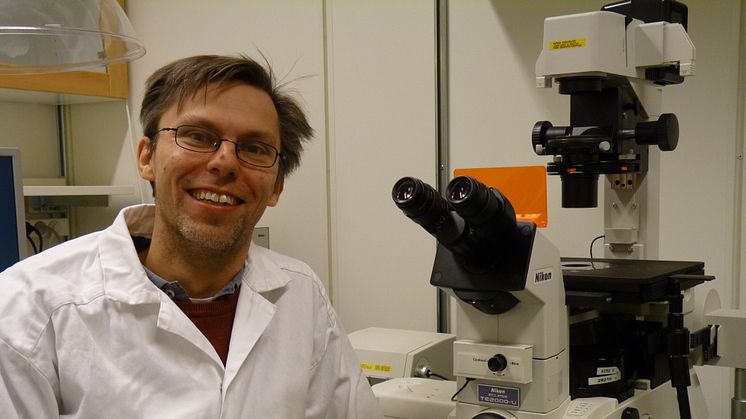 Studie inom stamcellsforskning vid debut av typ 1-diabetes beviljas en halv miljon kronor