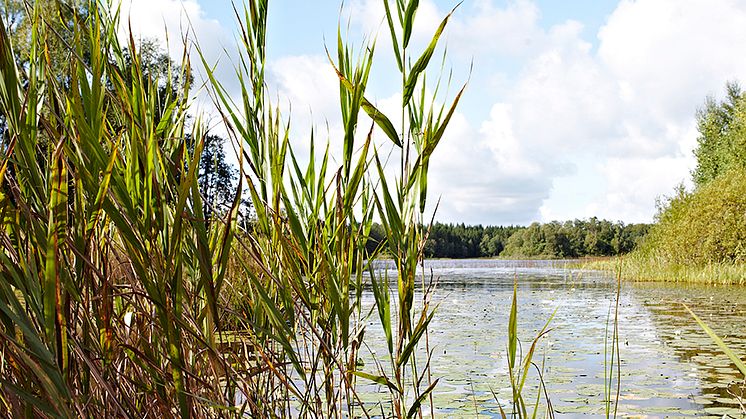 Plan för utbyggnad av kommunalt vatten och avlopp i Lund