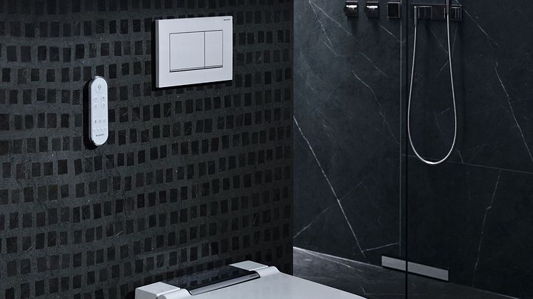 2019 Bathroom 01 F Geberit AquaClean Sela_bigview