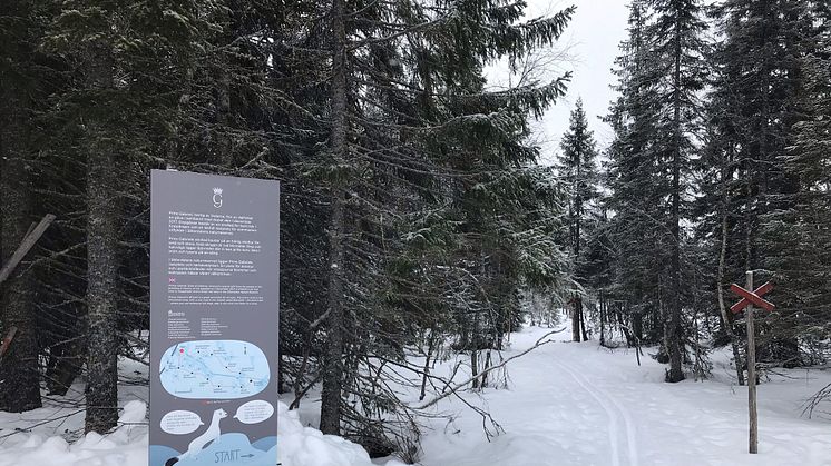 Här går den nya skidleden för barn som invigs under fredagen. Foto: Henny Sahlin.