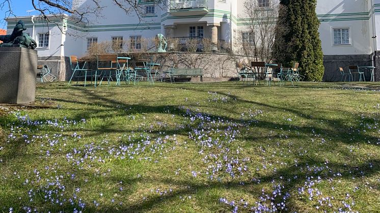 Vår park TG