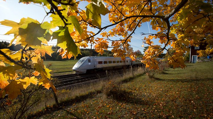 Ett X 2000-tåg susar fram genom soligt höstlandskap