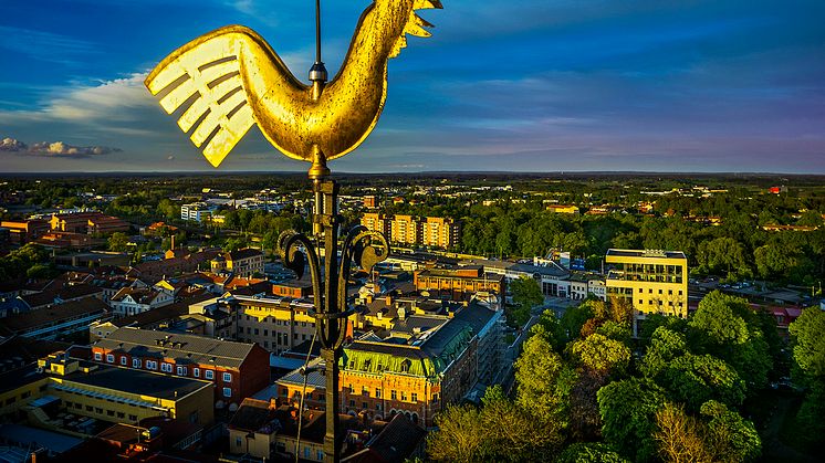 Utsiktsbild från toppen av kyrkan.