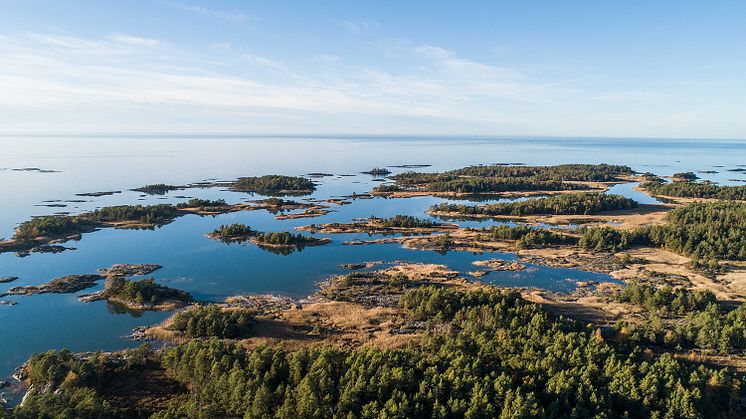 Tranebergsleden vid Vänern är en av många vandringsleder runt Vänern. Foto: Linnéa Gustafsson