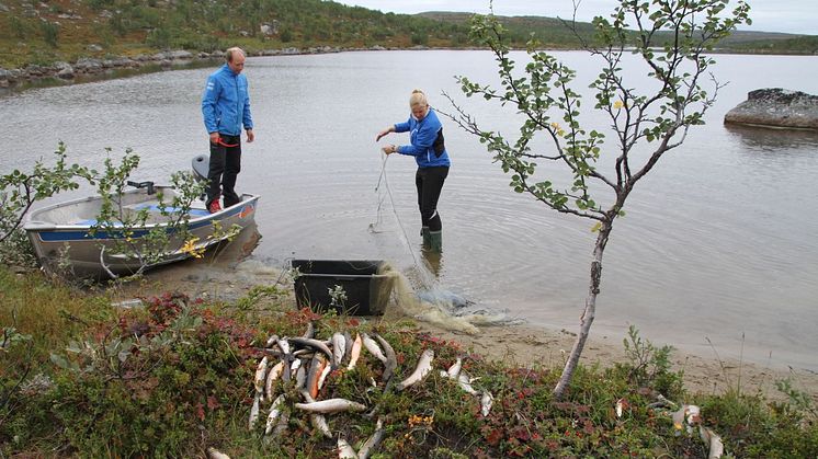 Akvaplan-niva presenterer grensesprengende forskning på Pasvikseminaret