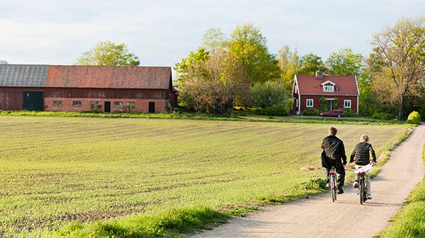 Norrtälje kommun har Stockholms läns största landsbygd och skärgård, och halva kommunens befolkning bor utanför de stora tätorterna.