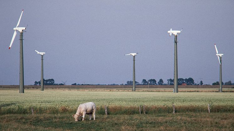Klimafreundlicher Strom aus Schleswig-Holstein: Windenergiepark Westküste seit 35 Jahren in Betrieb