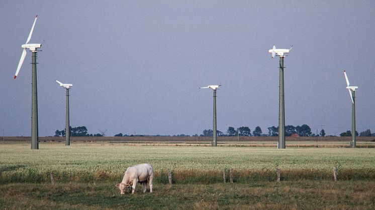 Die Anfänge der Windkraft (1)