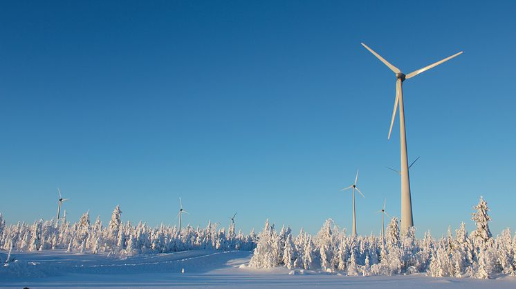 Ny arbetsgrupp ska locka elintensiv industri till Markbygden.