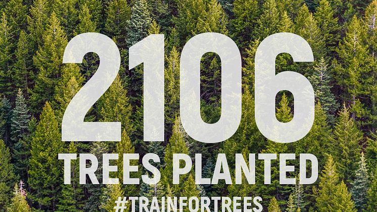 Motosumo users plant 2,106 trees for #TeamTrees 
