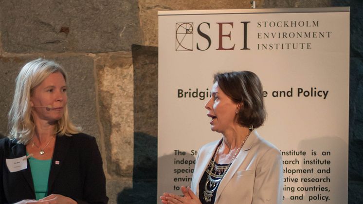 Anna Borgeryd på SEI Science Forum 2016